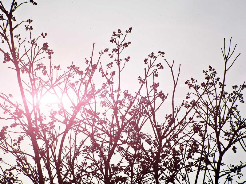 android screenshot 2